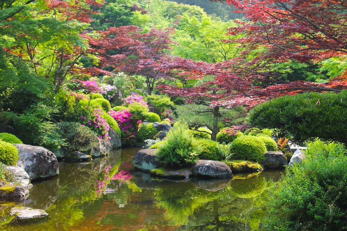 三室戸寺