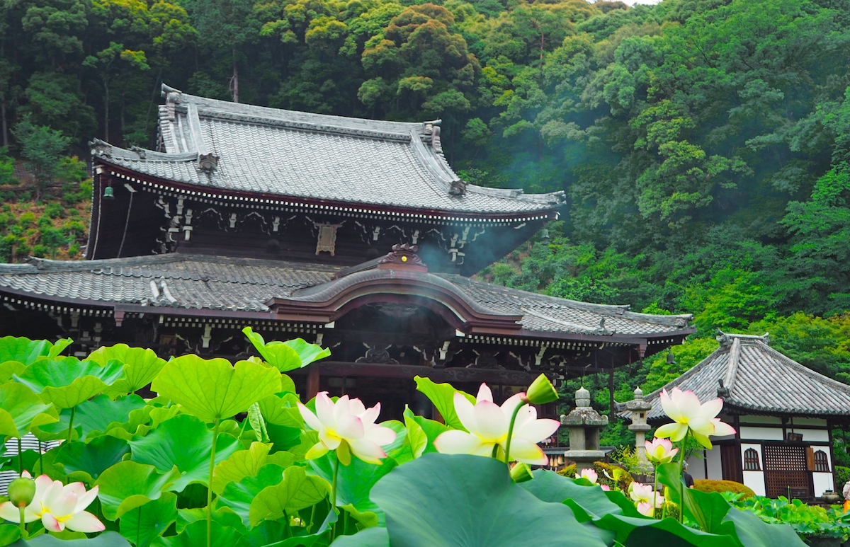 三室戸寺