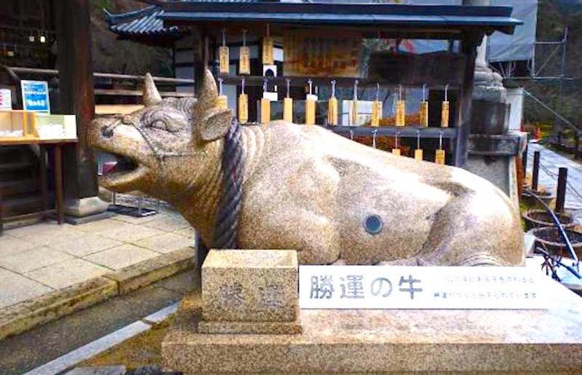三室戸寺