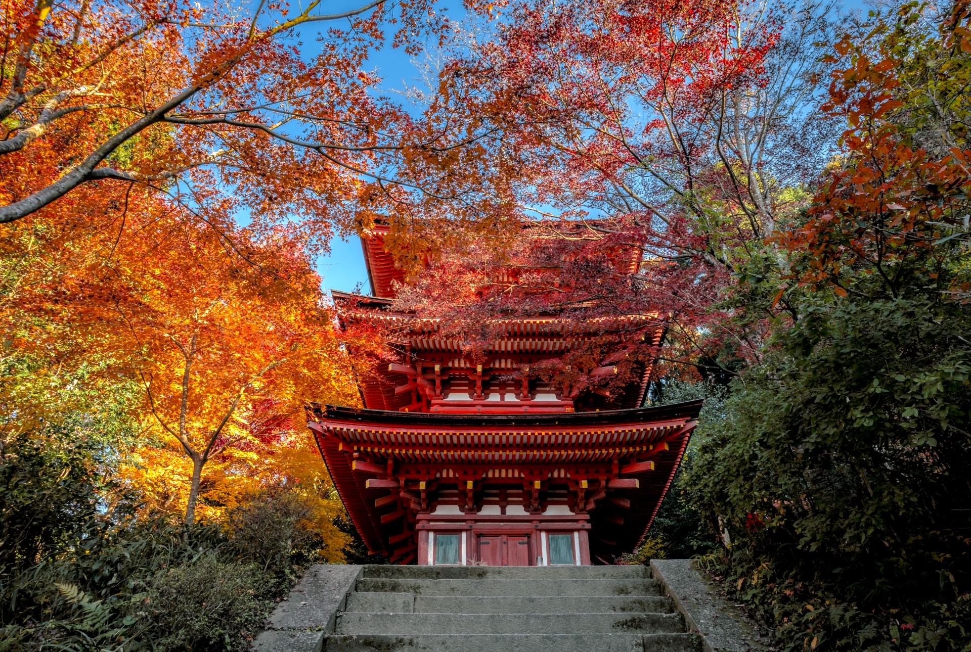 浄瑠璃寺・三重塔