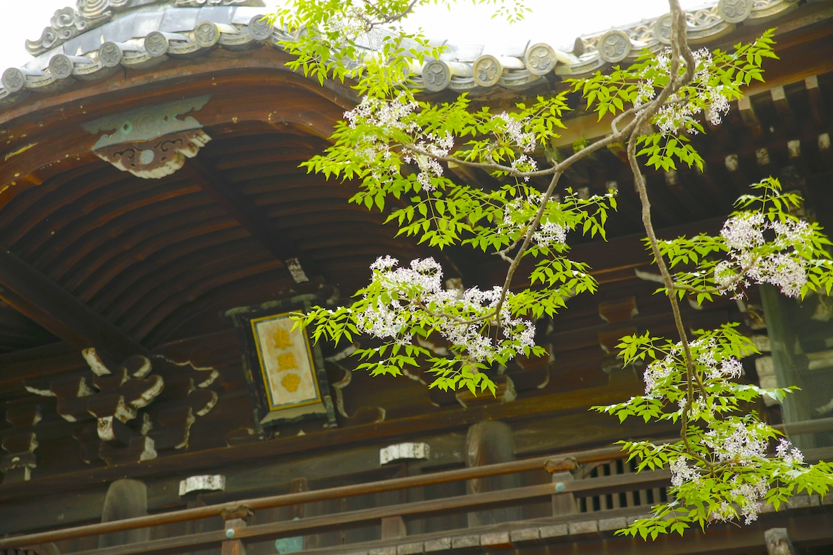 金地院東照宮