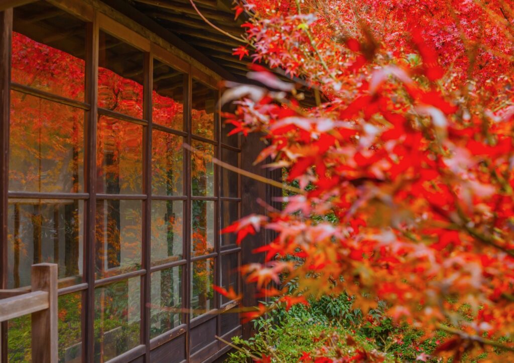 安楽寺