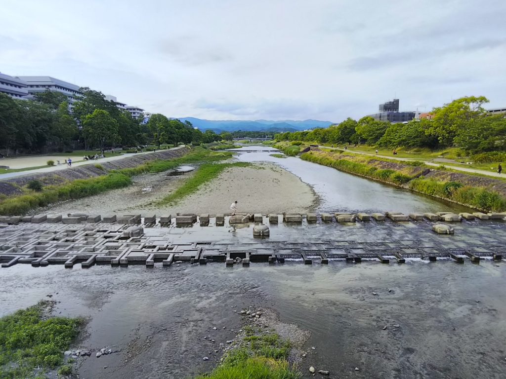 鴨川・荒神の飛び石
