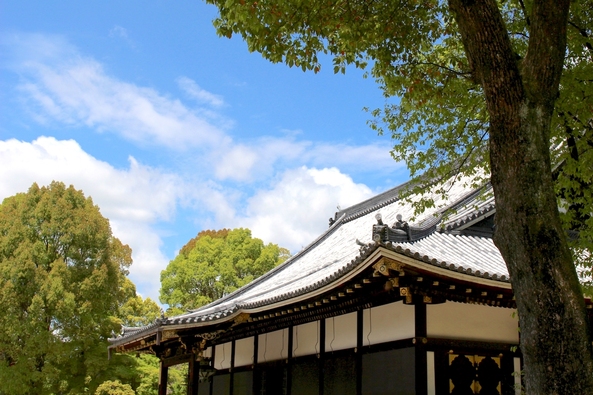 仁和寺・金堂