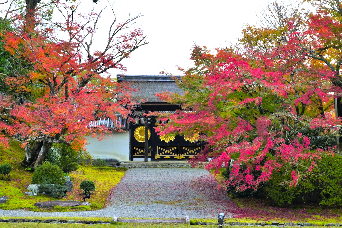醍醐寺・唐門