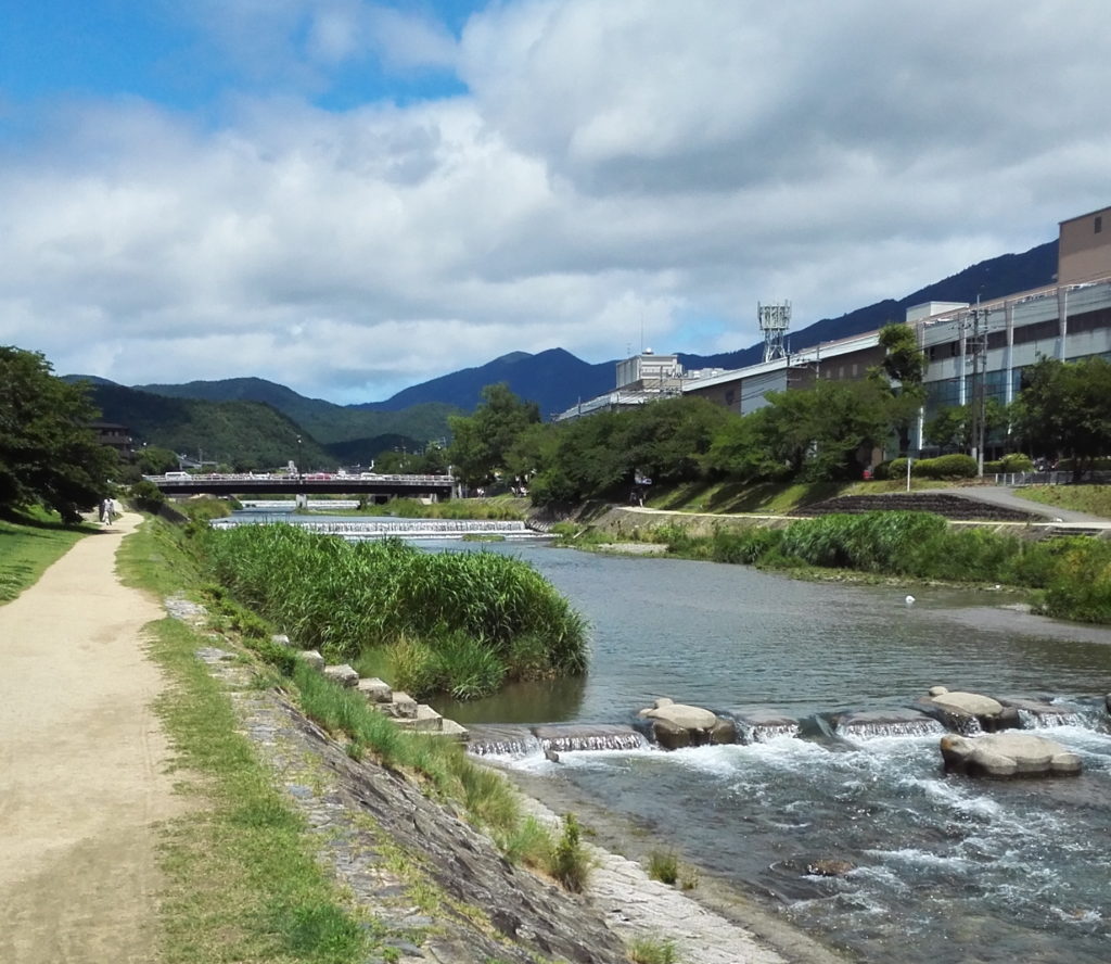 高野川の飛び石