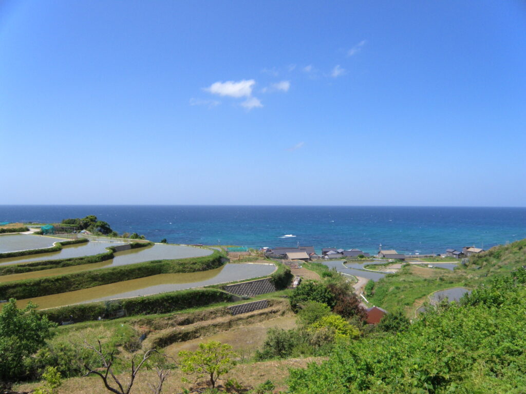 袖志の棚田