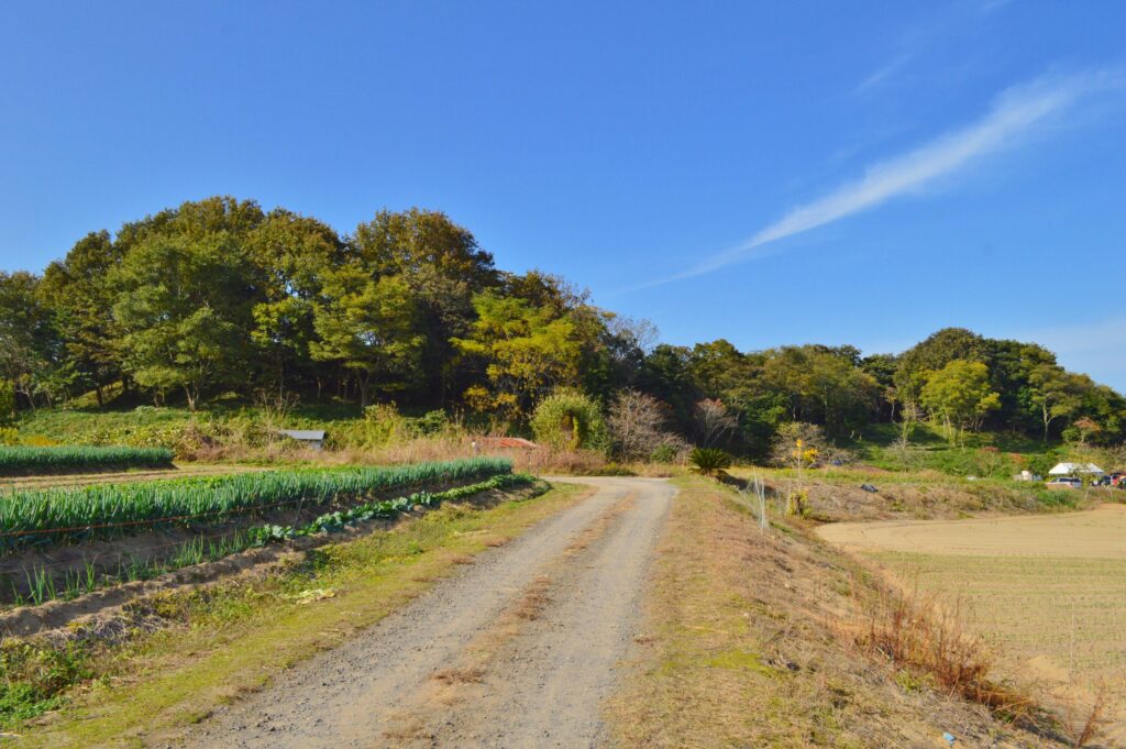 網野銚子山古墳