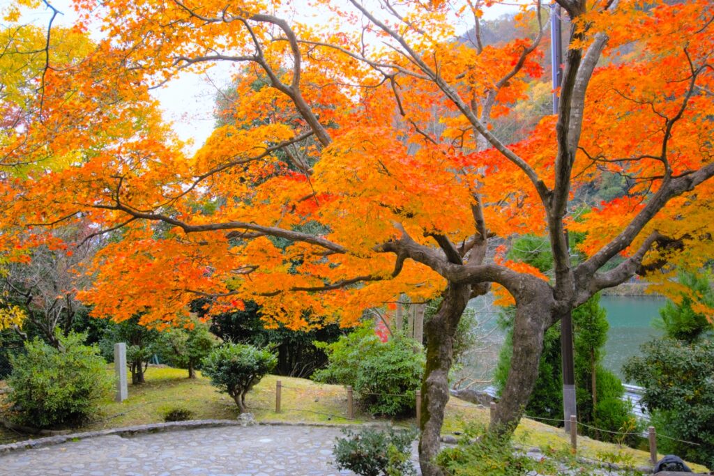 嵐山公園亀山地区