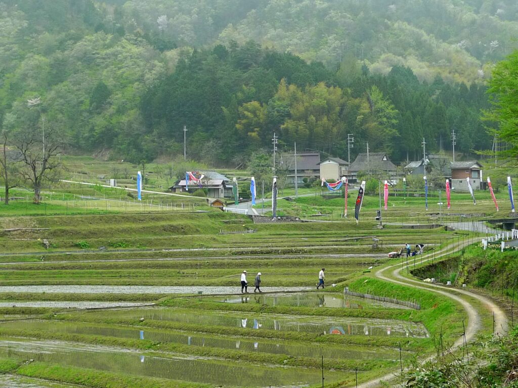 毛原の棚田