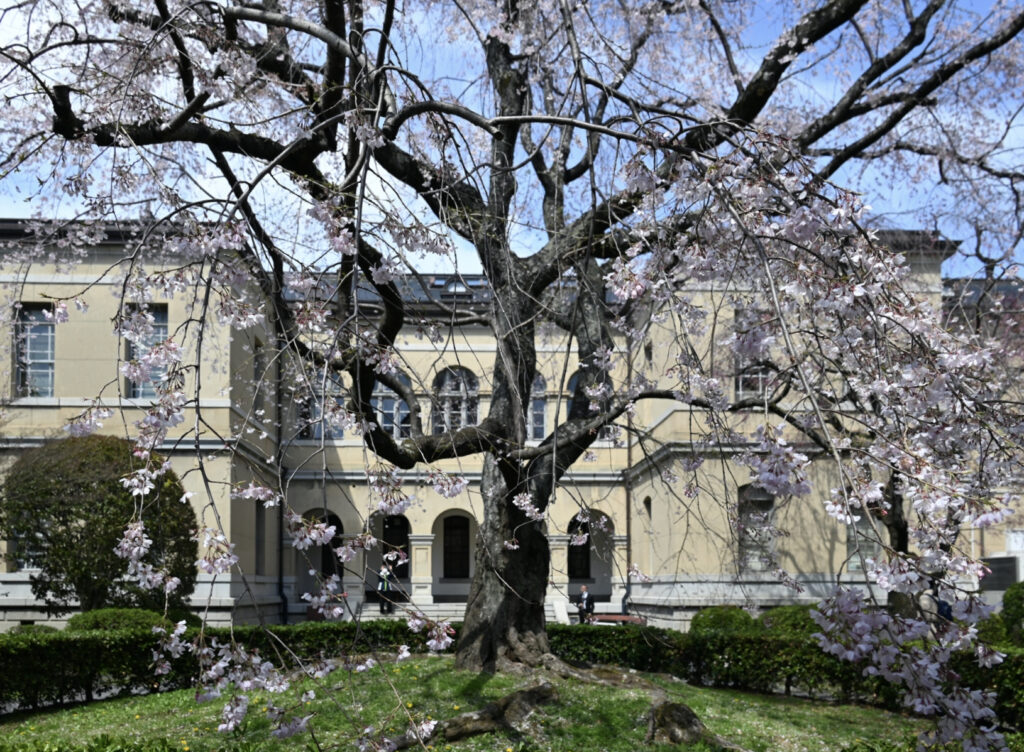 京都府庁旧本館