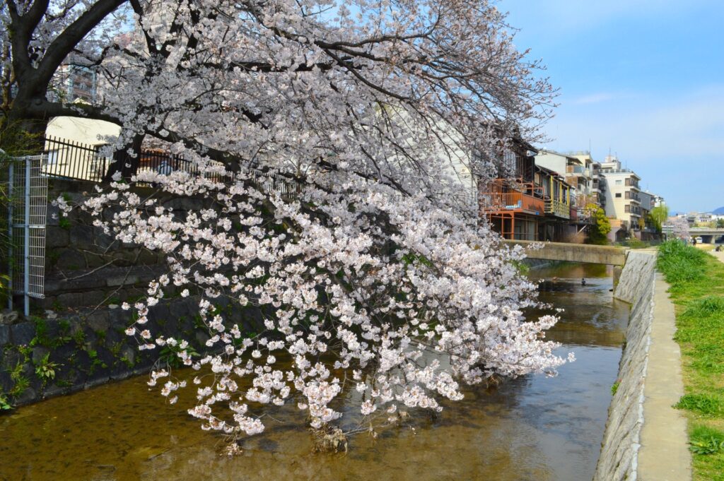 みそそぎ川