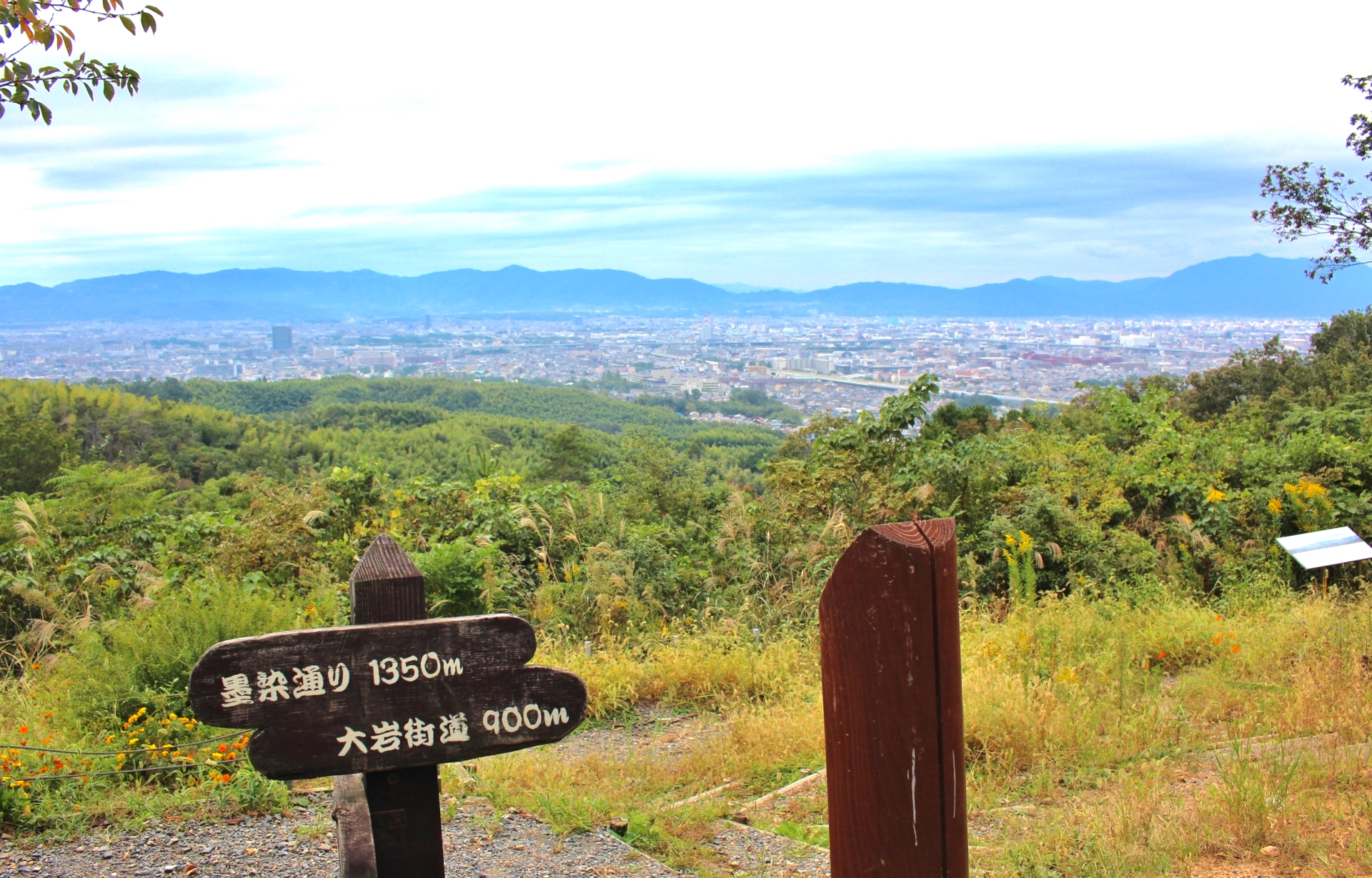 大岩山展望所