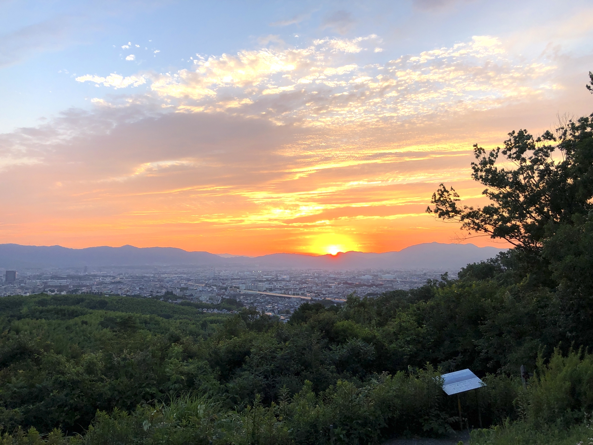 大岩山展望所