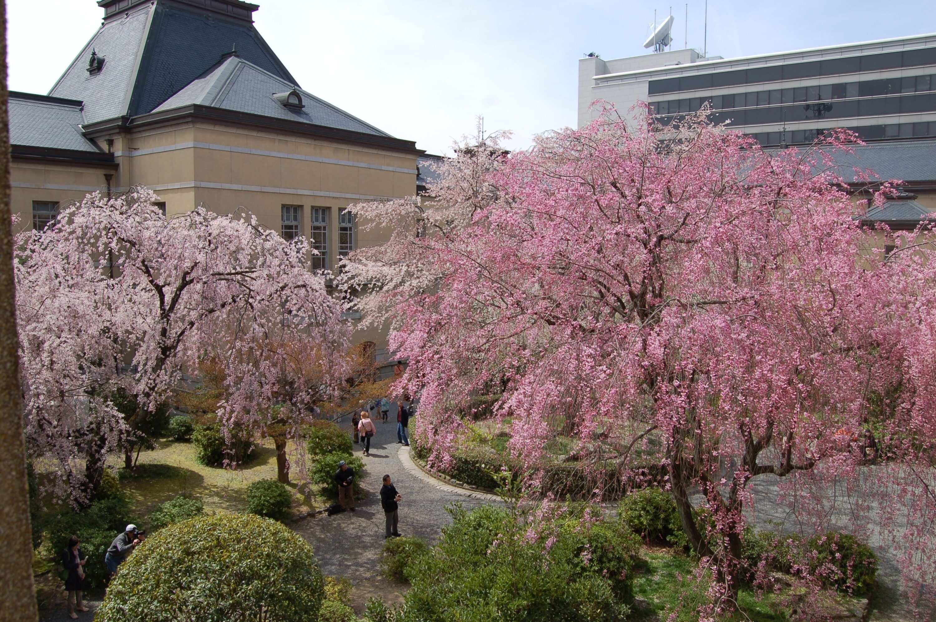 京都府庁旧本館