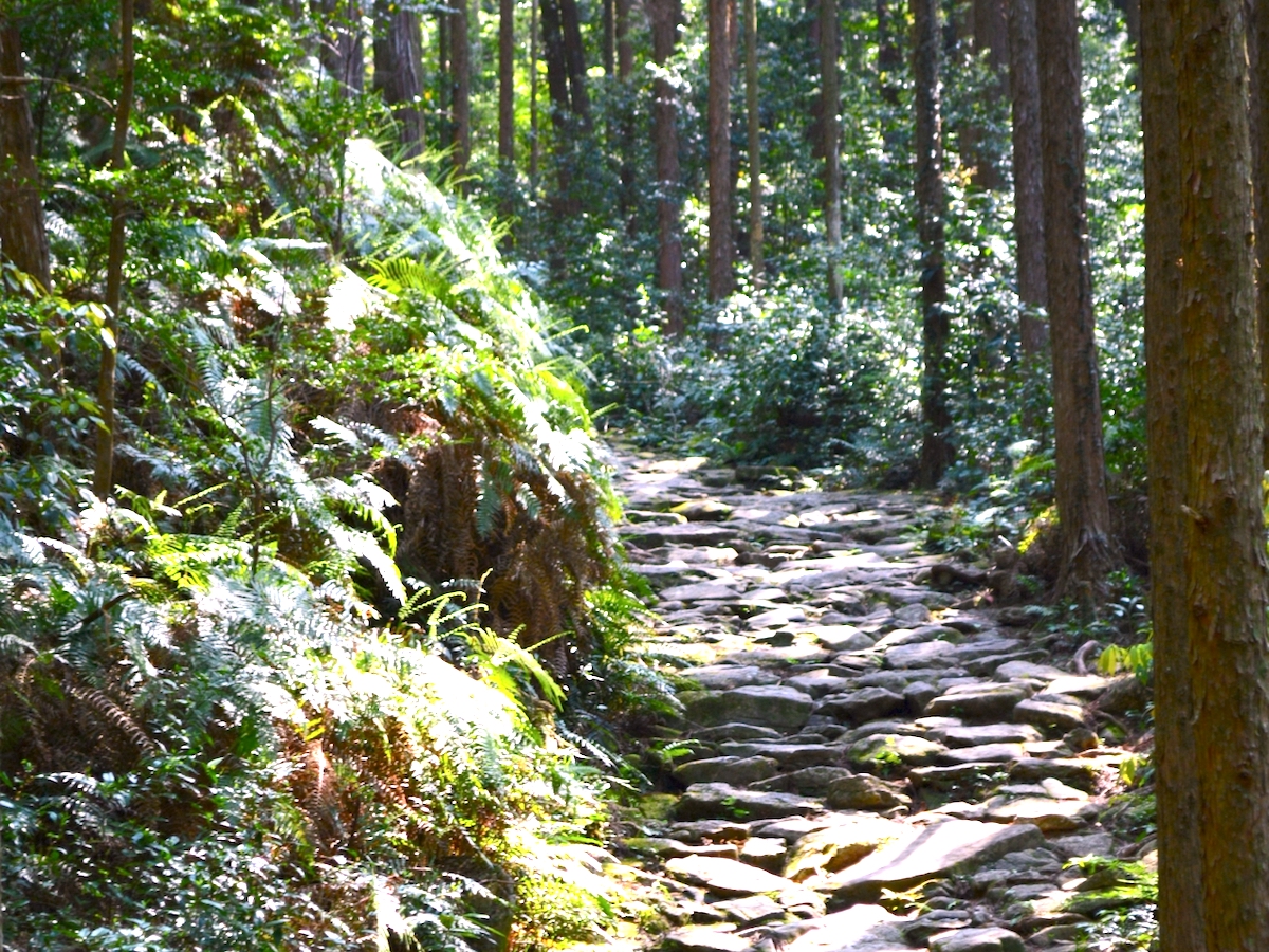 熊野古道・馬越峠