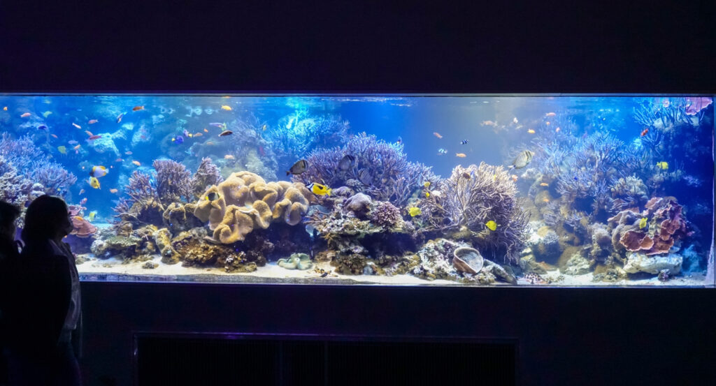 鳥羽水族館