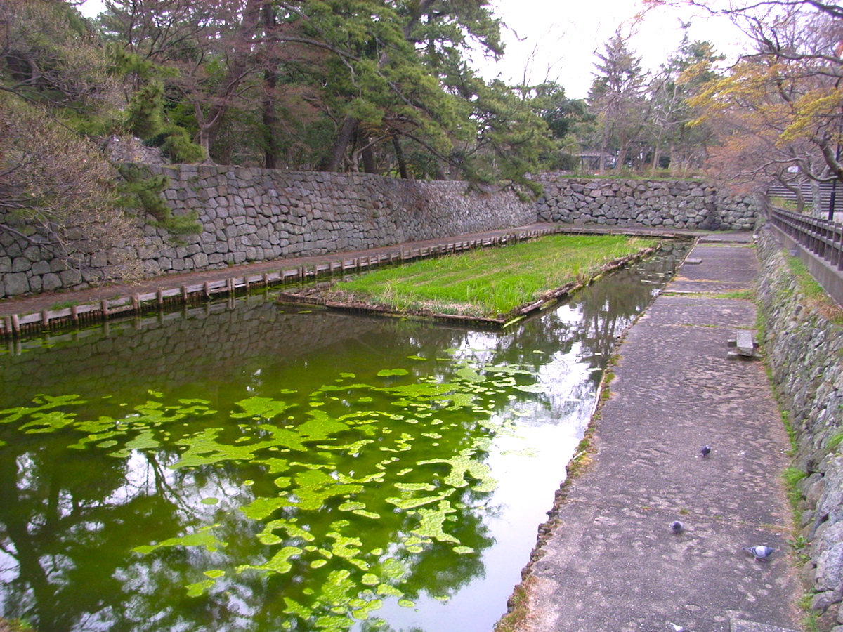 津城