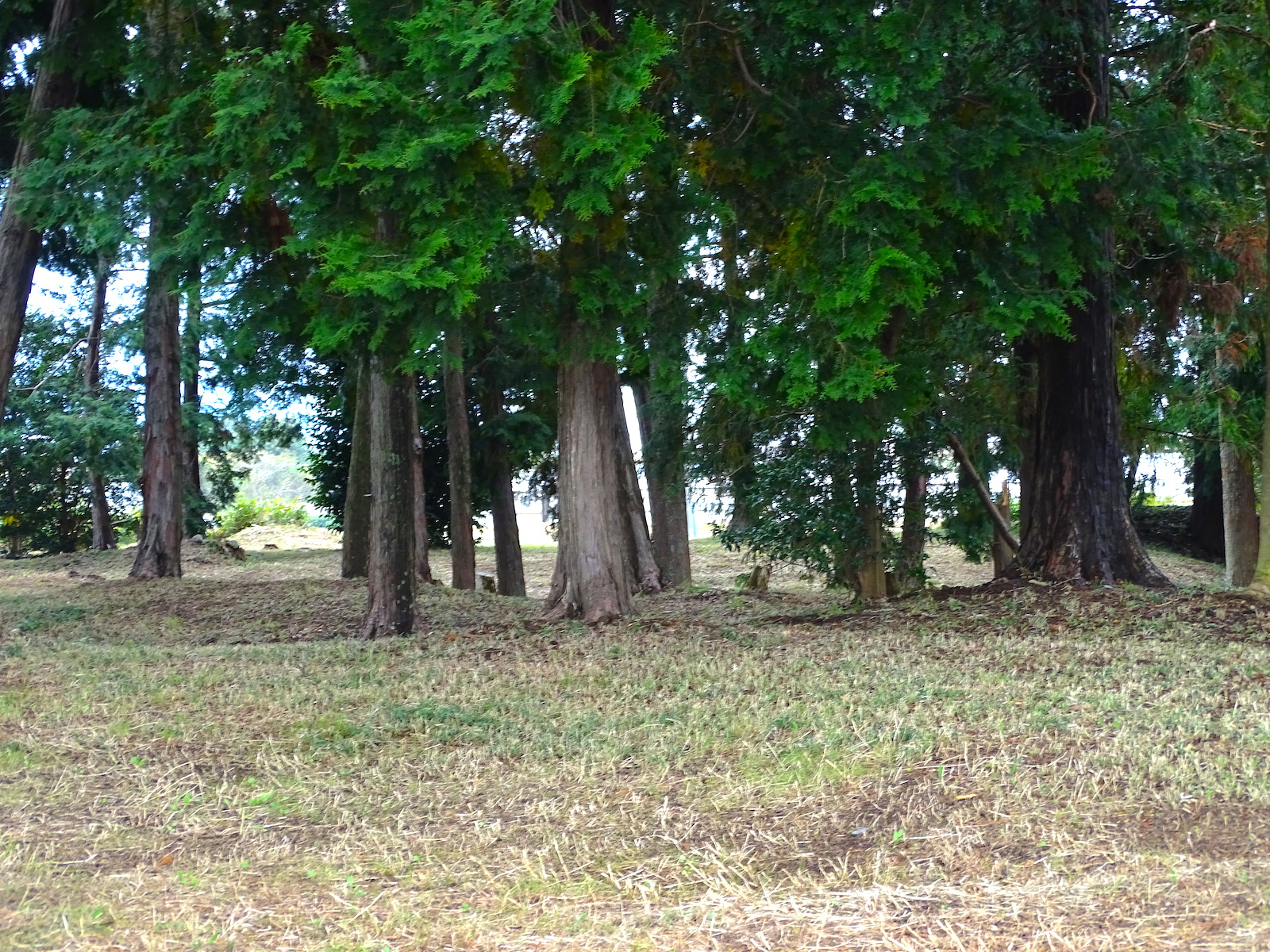 伊勢国府跡(長者屋敷遺跡)