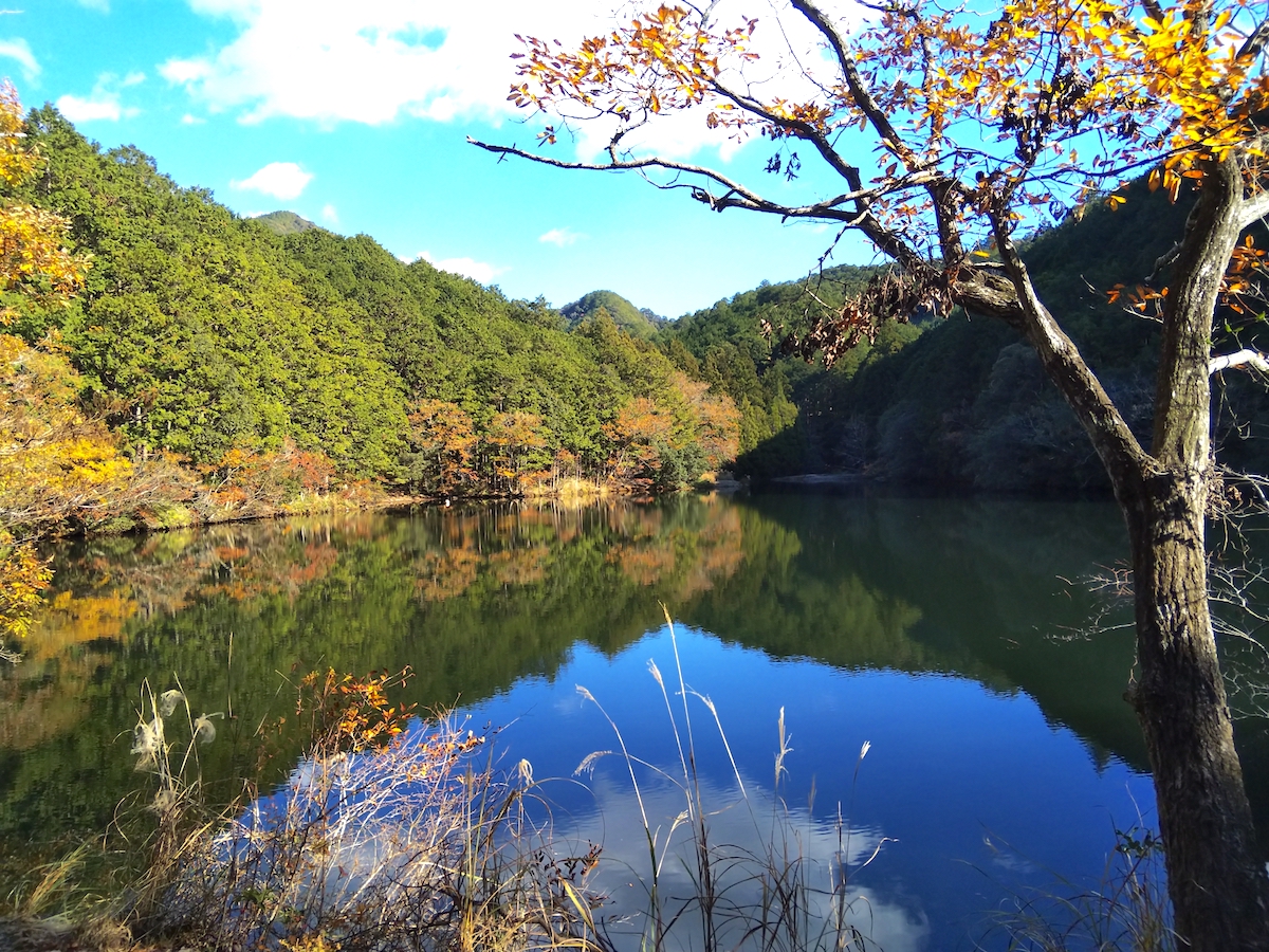熊野古道・始神峠