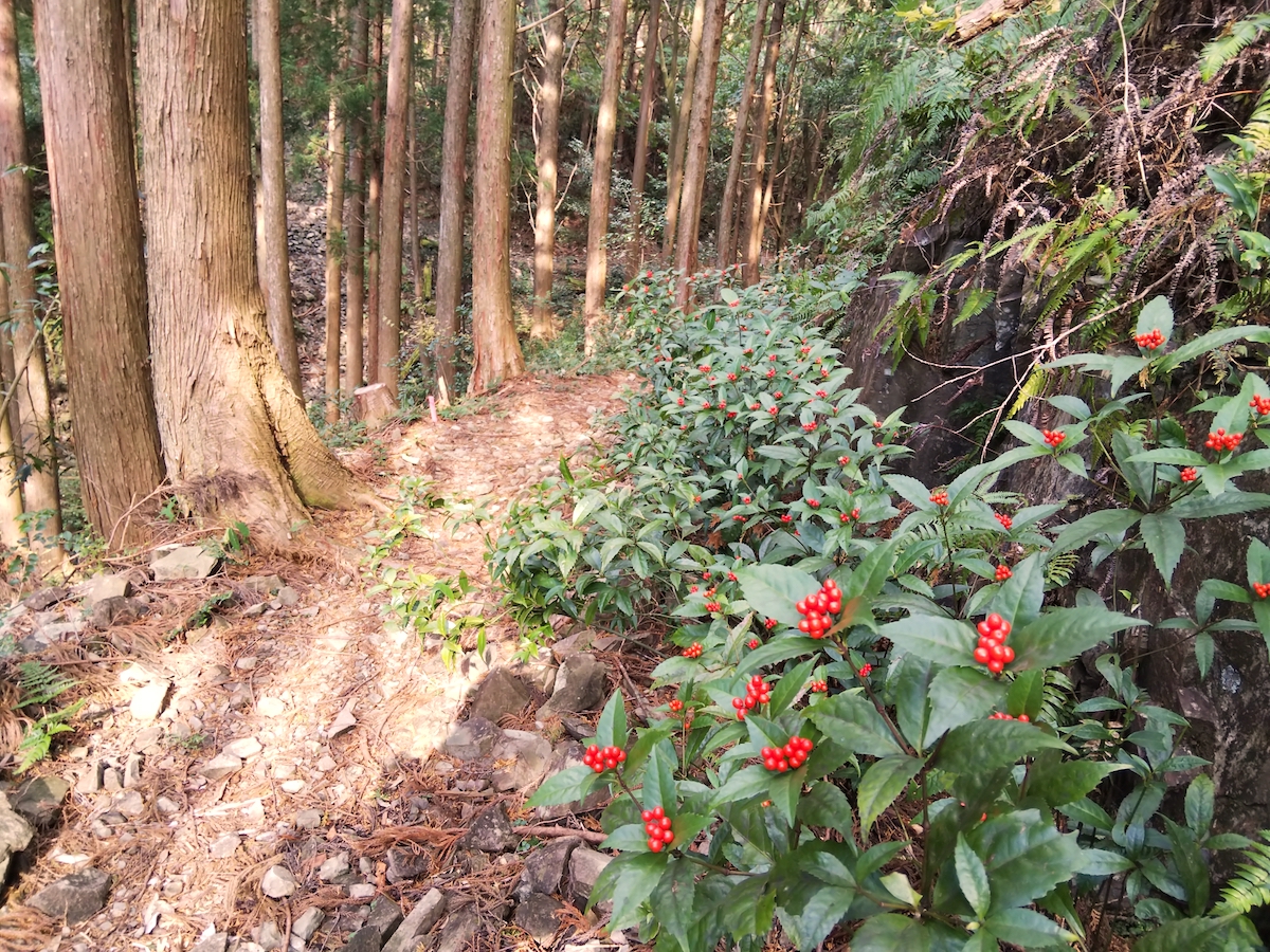 熊野古道・始神峠