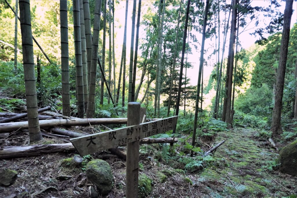 熊野古道伊勢路・大吹峠道