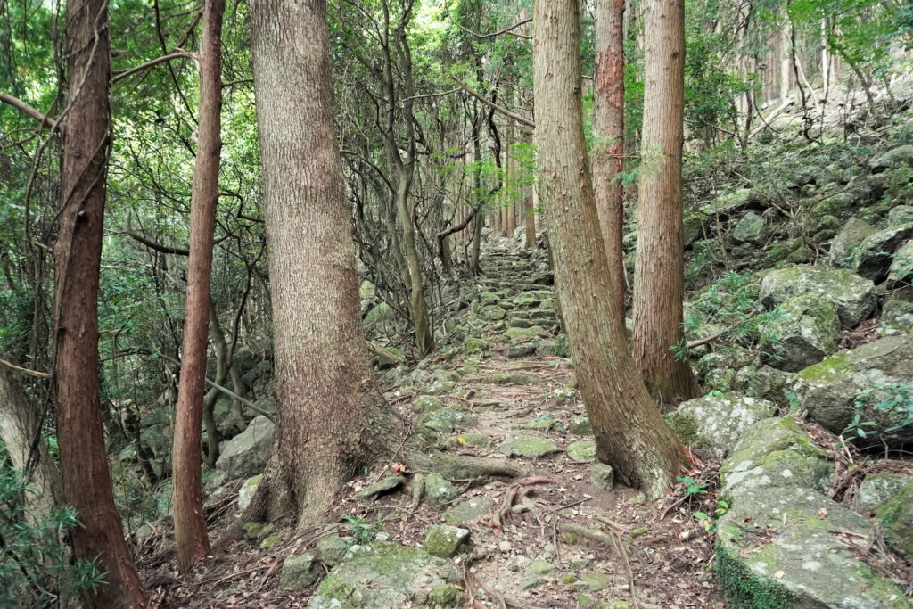 熊野古道伊勢路 二木島峠道・逢神坂峠道