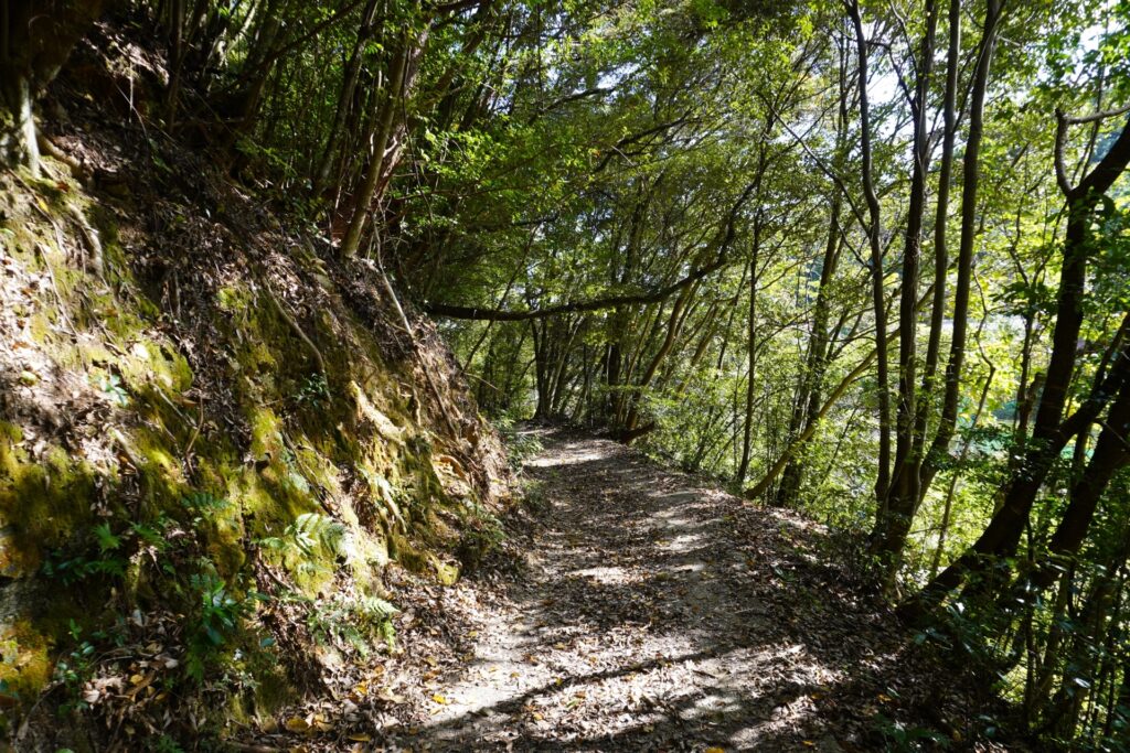 熊野古道伊勢路 横垣峠