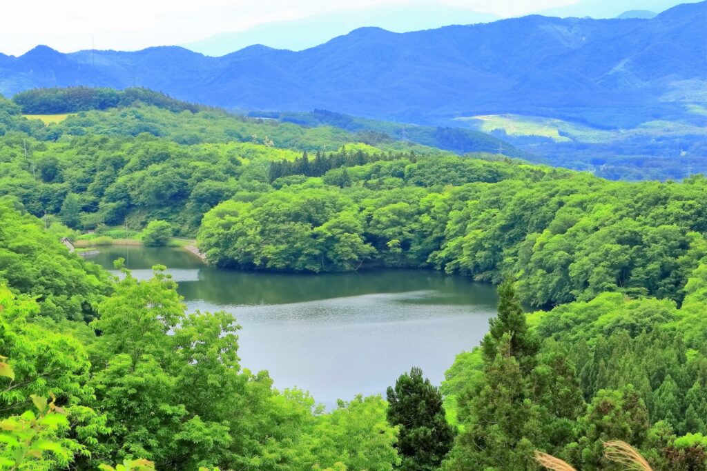 長老湖