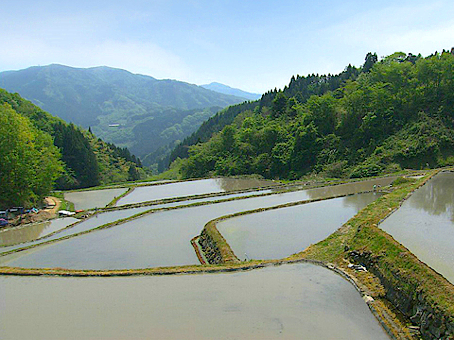 大張沢尻棚田