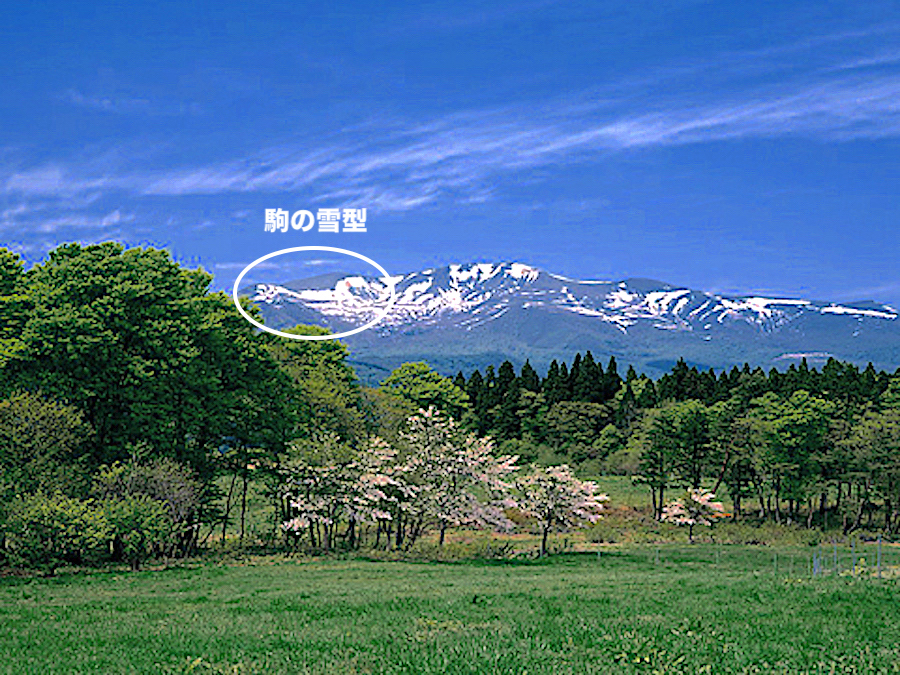 深山牧場