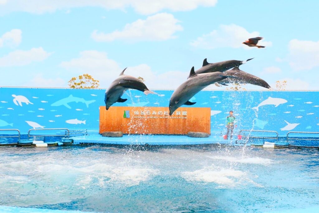 仙台うみの杜水族館