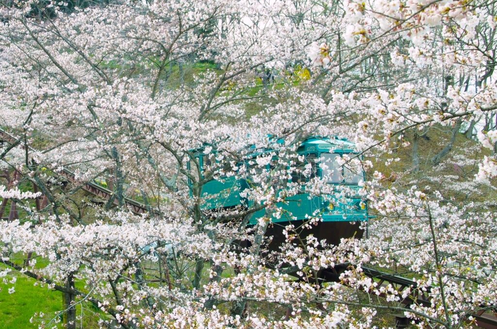 船岡城址公園スロープカー