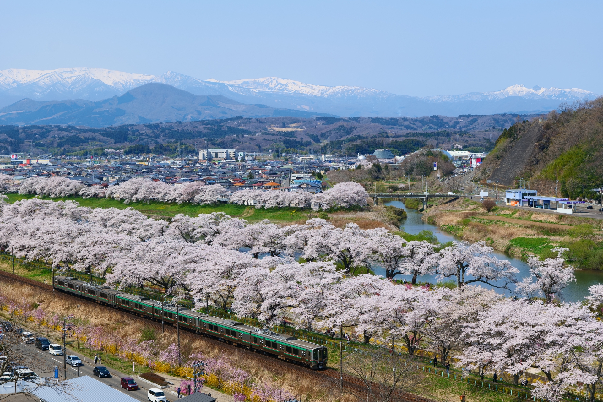 白石川堤一目千本桜