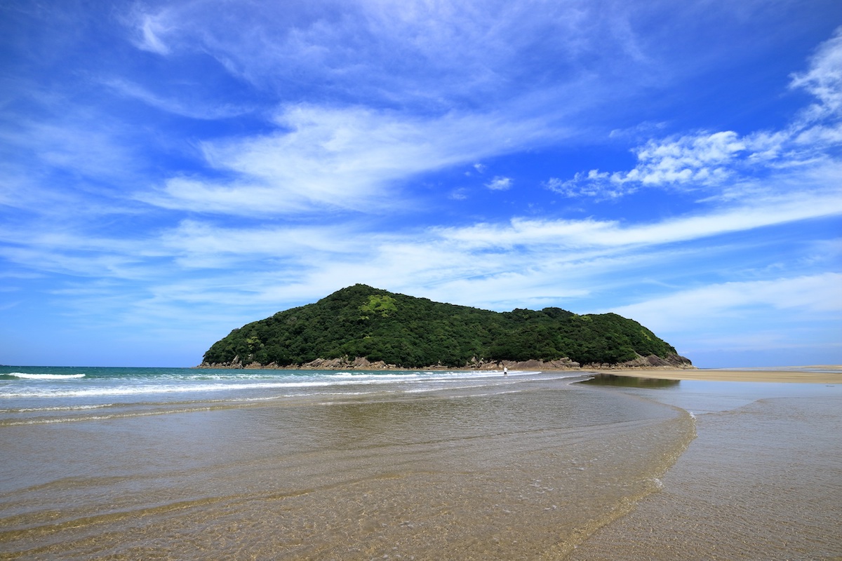 幸島