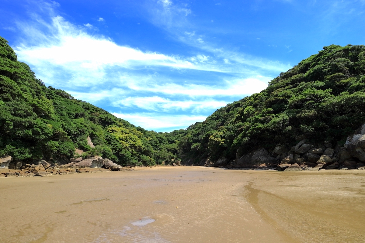 幸島