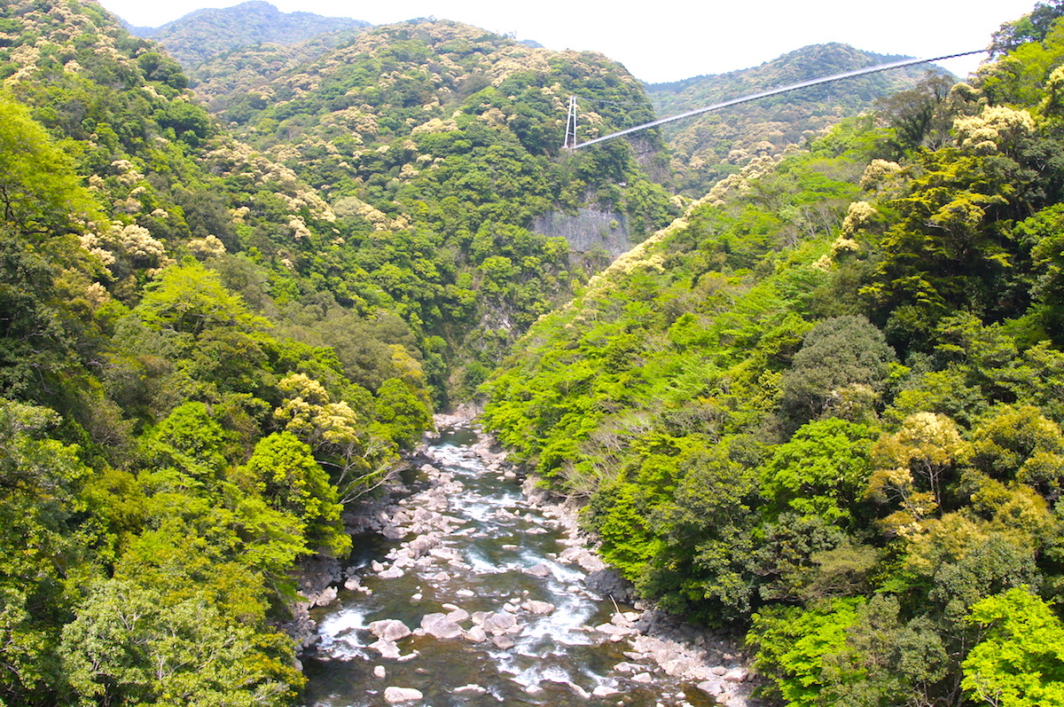 綾の照葉大吊橋