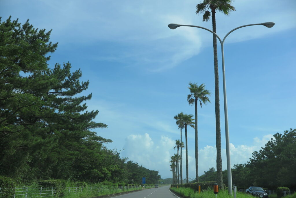一ツ葉有料道路
