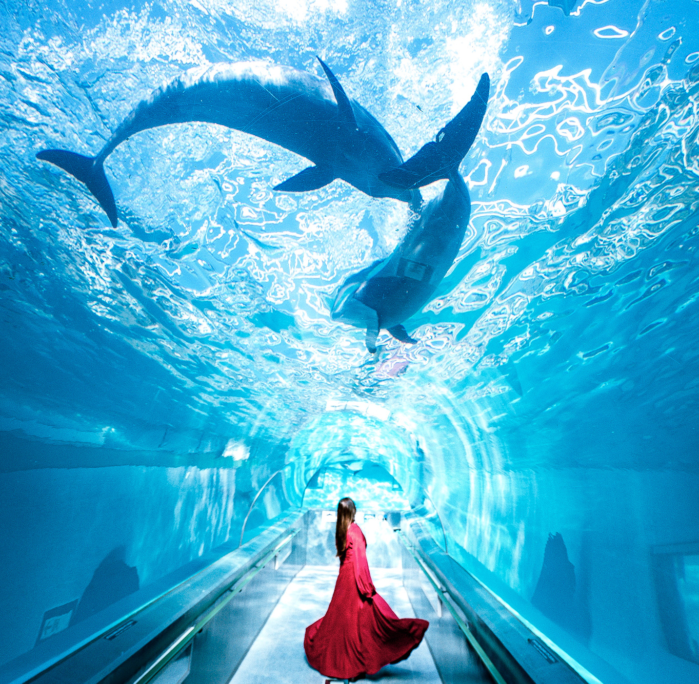 海洋水族館マリナリュウム