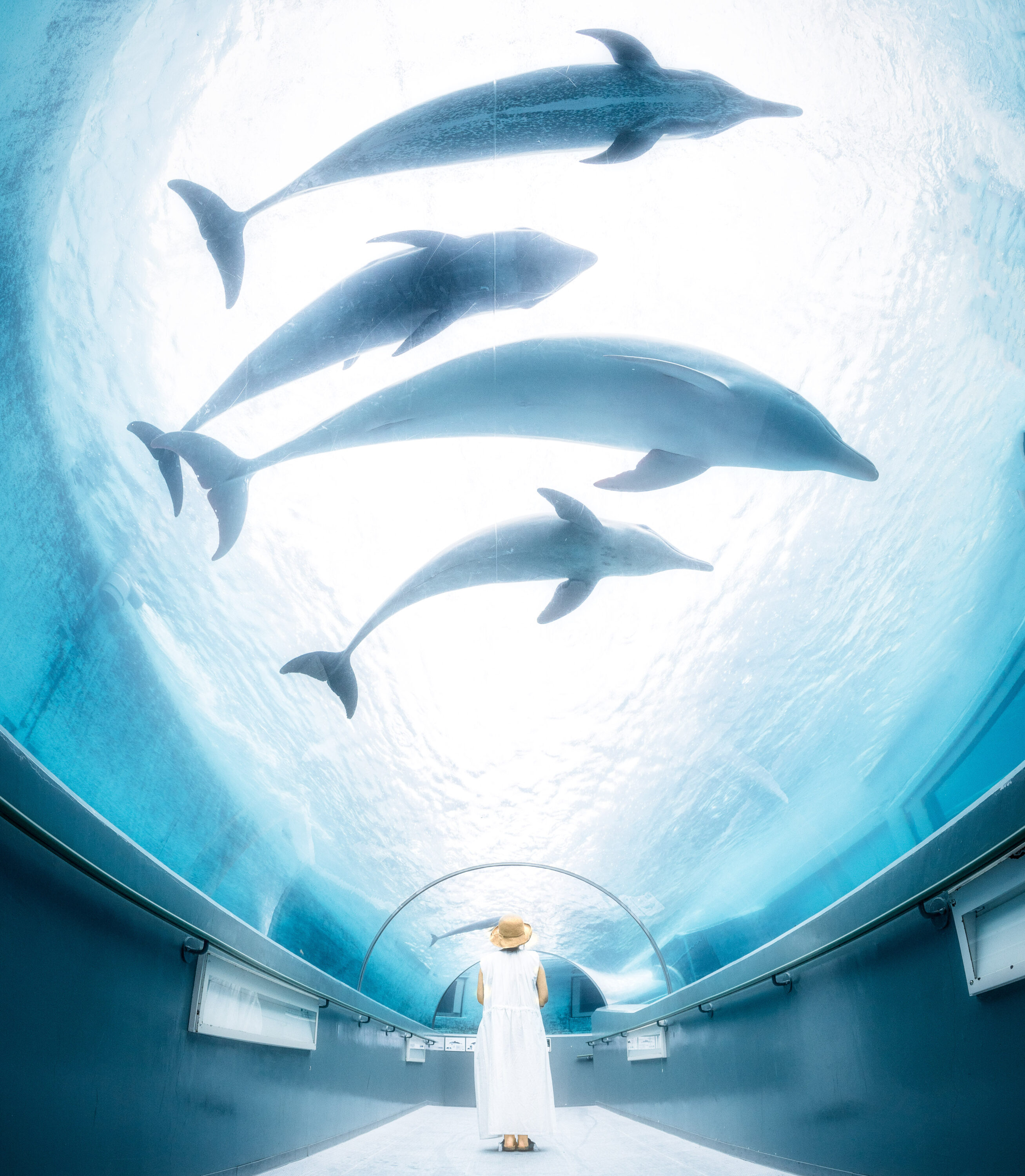 海洋水族館マリナリュウム
