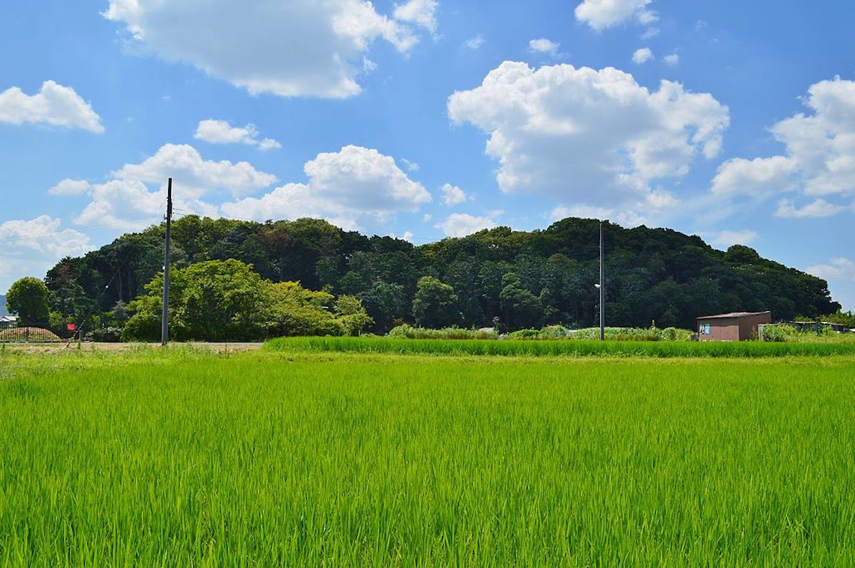 垂仁陵古墳(宝来山古墳)