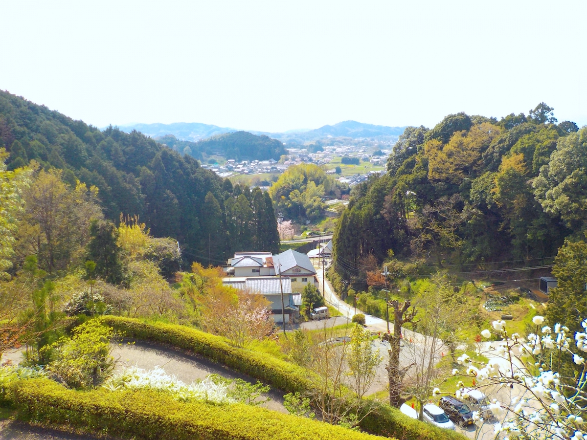 岡寺