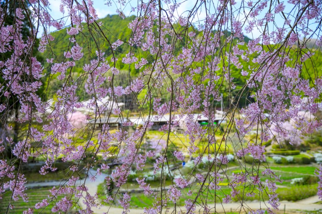 花の郷滝谷