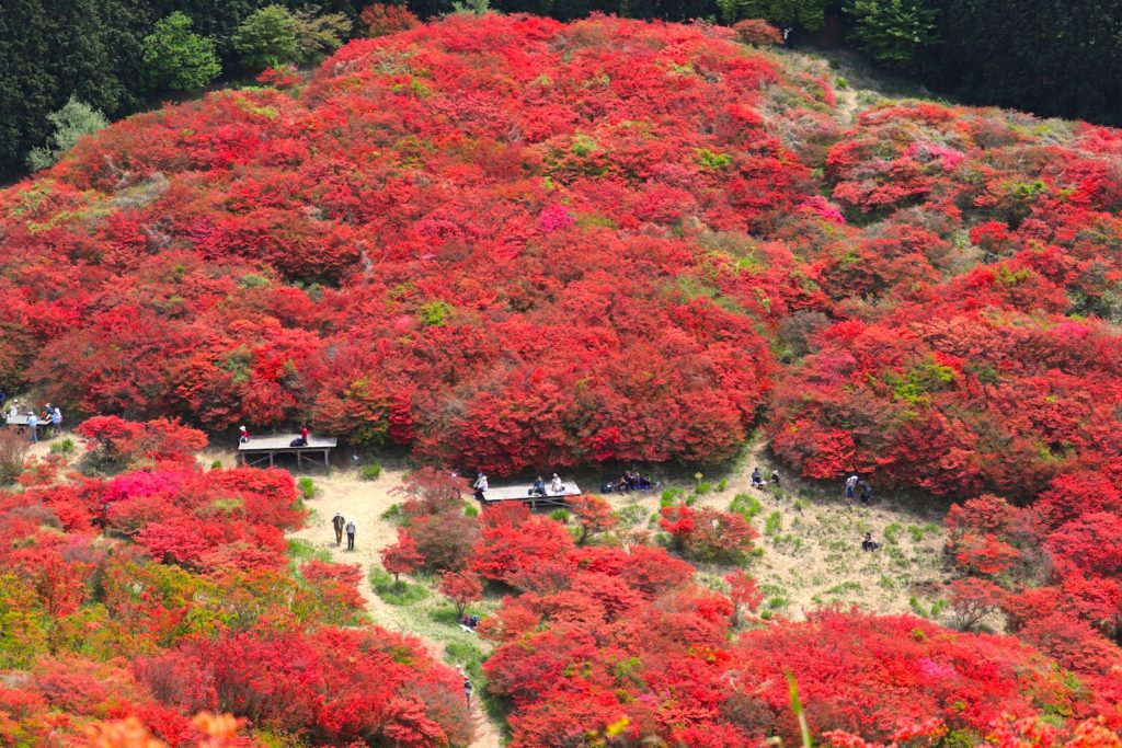 葛城山