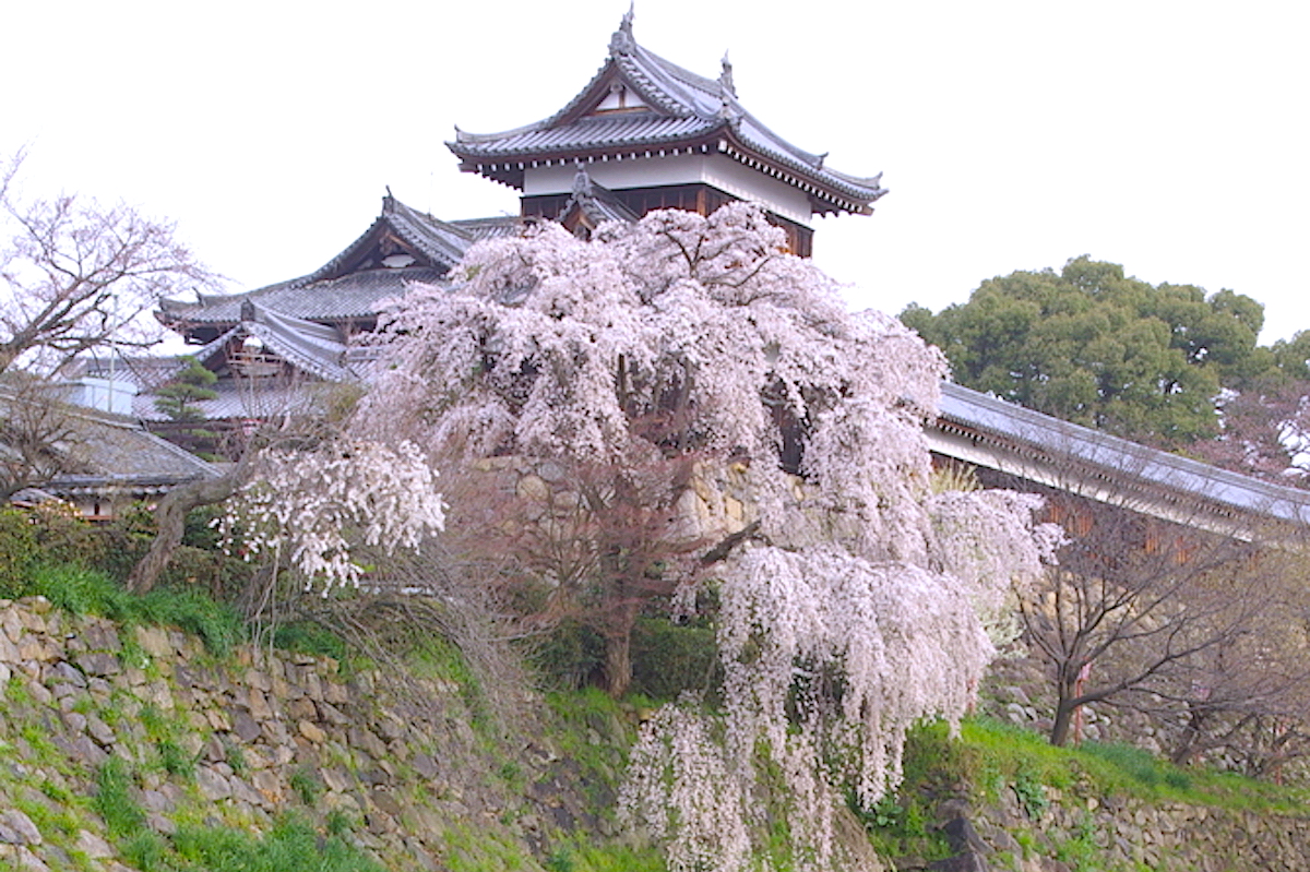 大和郡山城