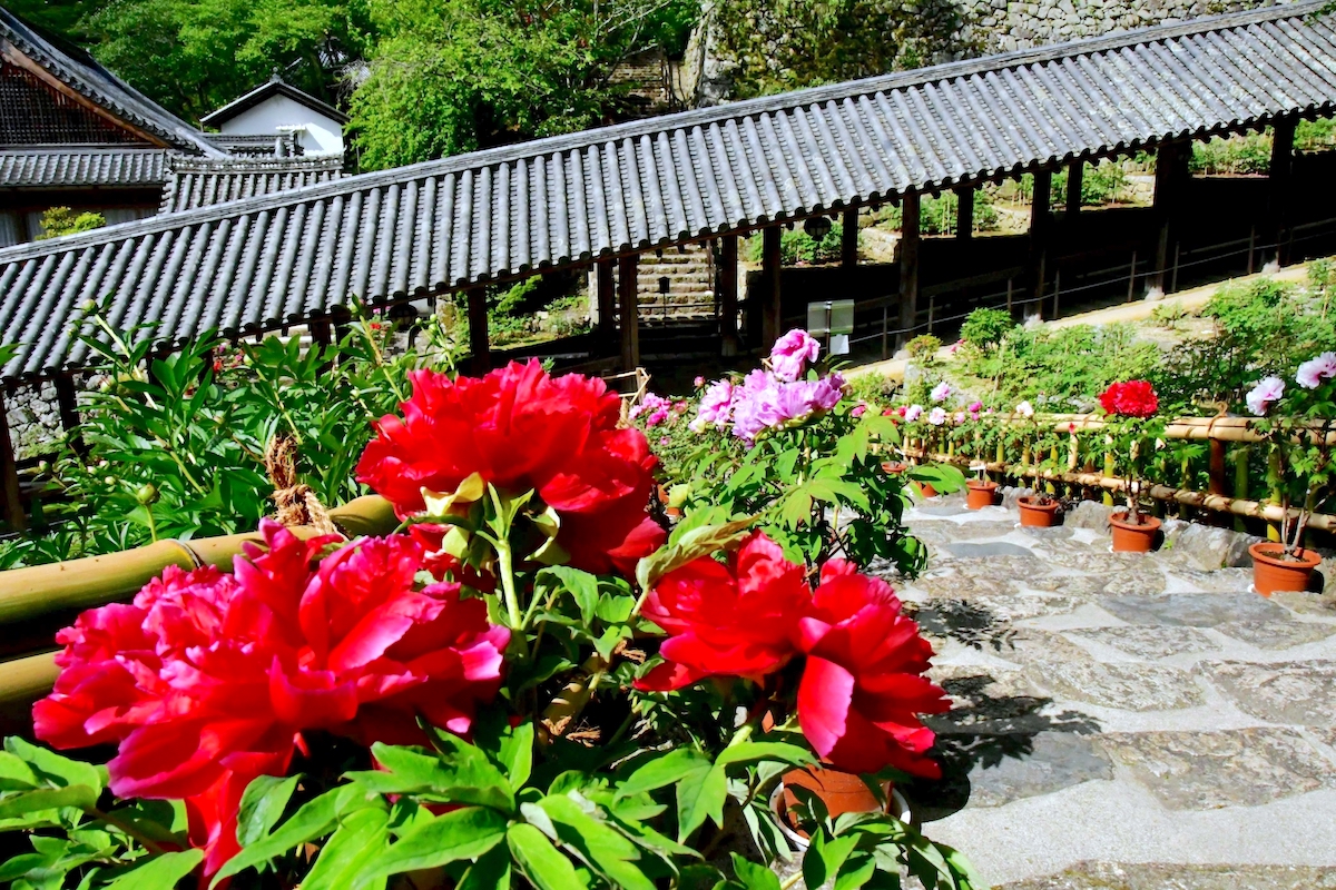 長谷寺