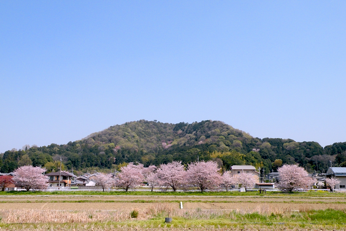 畝傍山