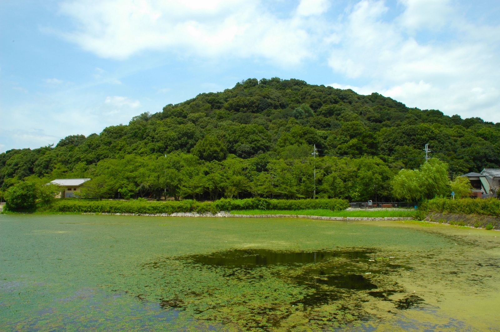 耳成山