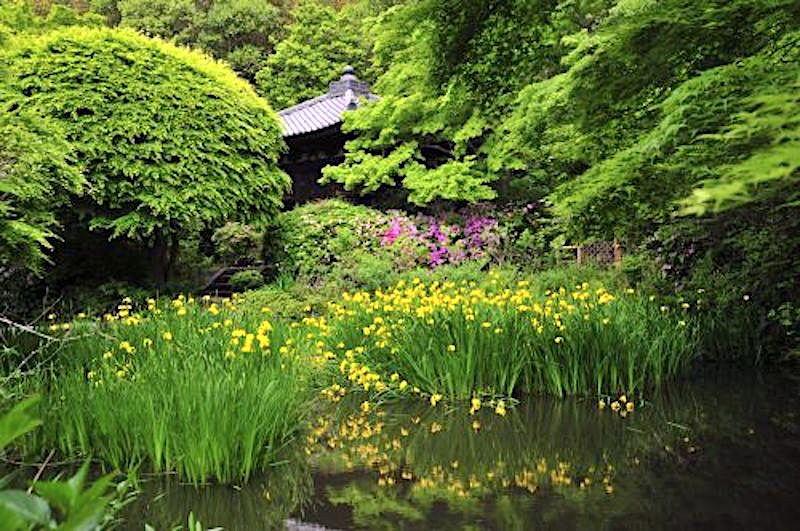 不退寺