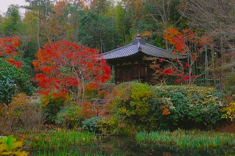 不退寺